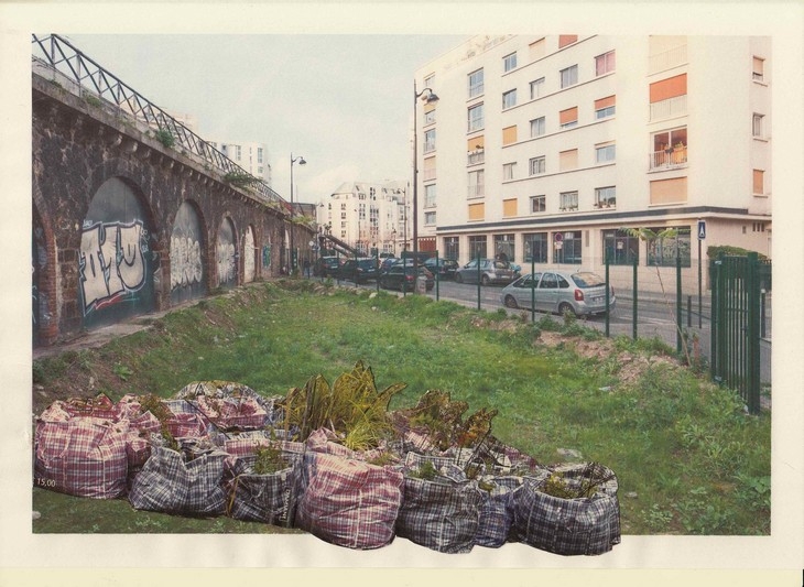 http://emileouroumov.fr/files/gimgs/th-48_Portable garden_collage_2016_Lois Weinberger_Salle Principale_WEB_web.jpg